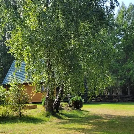 Sasino, Ptys I Balbina